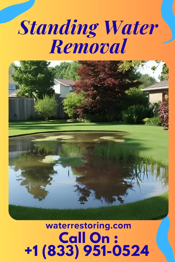 Standing Water Removal in Hollywood, SC